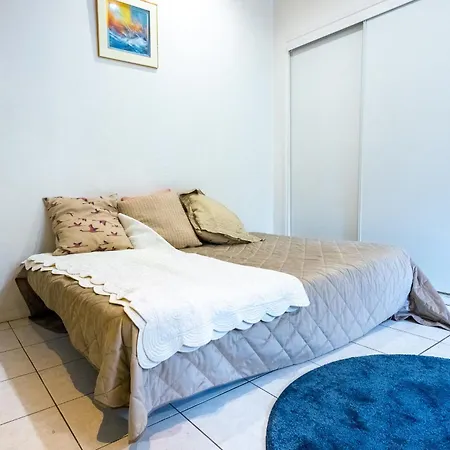 Appartement Joli Bord De Marne 15m De Paris Joinville